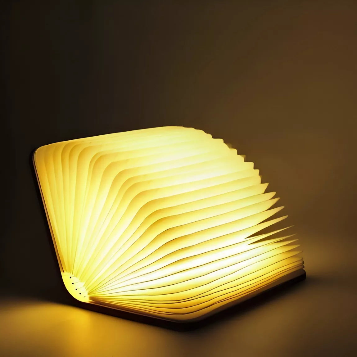 Buchlampe mit warmweißen Licht
