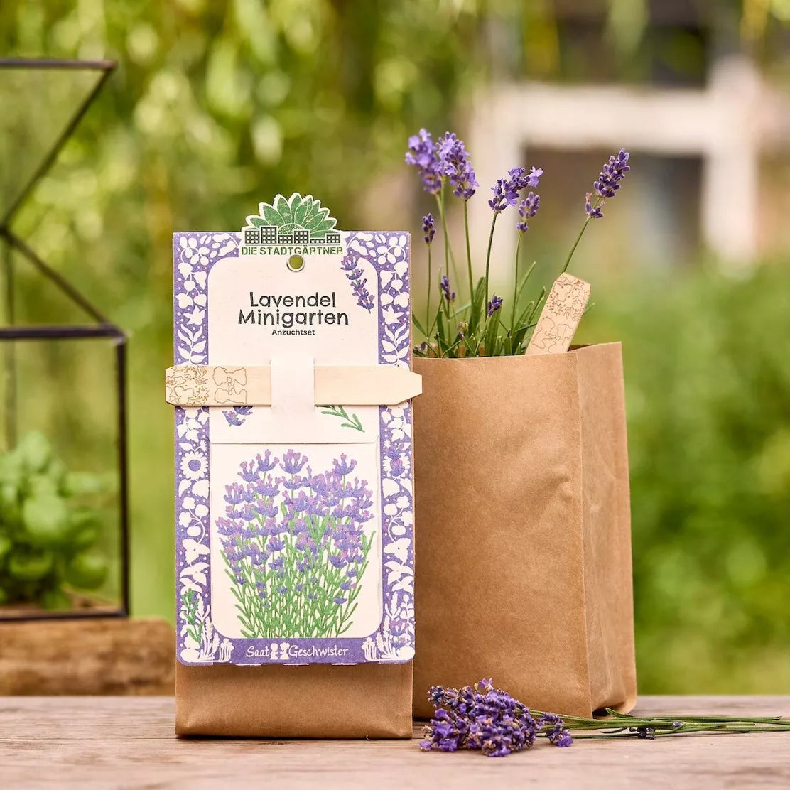 Minigarten - Lavendel