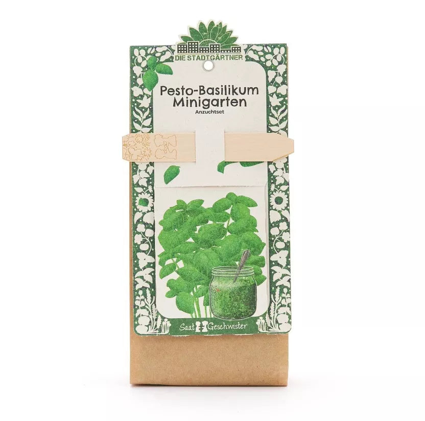 Minigarten - Basilkum