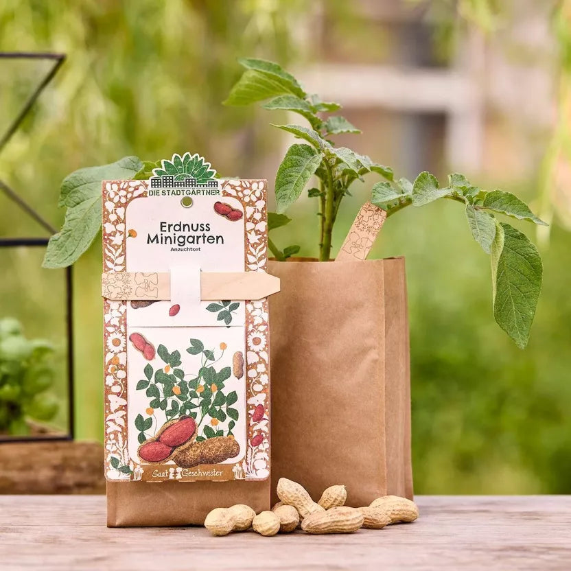 Minigarten - Erdnuss