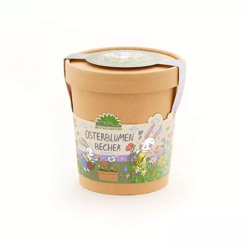 Anzuchtset Blümchen aus dem Becher