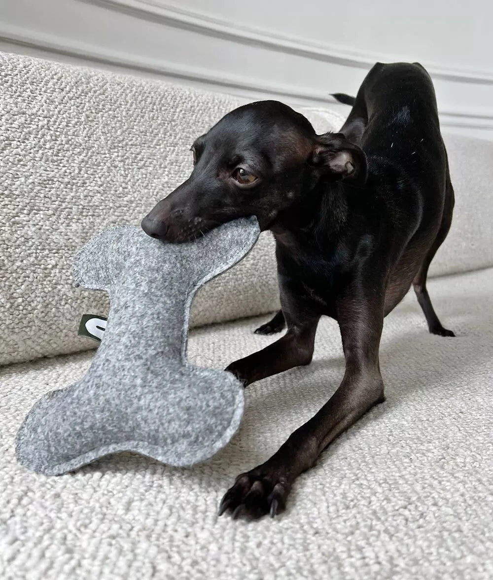 Graues knochenförmiges Hundespielzeug
