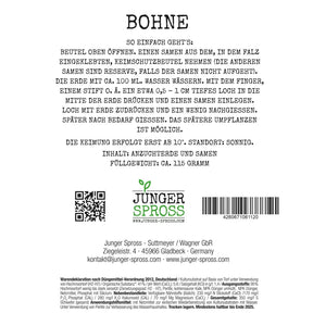 Große Dinge beginnen oft klitzeklein (Bohnensamen Anzuchtset)