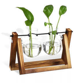 Doppelte Pflanzen-Anzuchtstation aus Glas