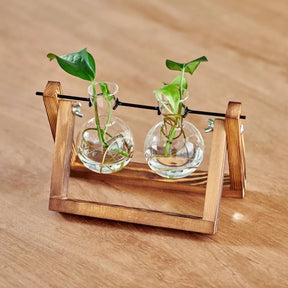 Doppelte Pflanzen-Anzuchtstation aus Glas