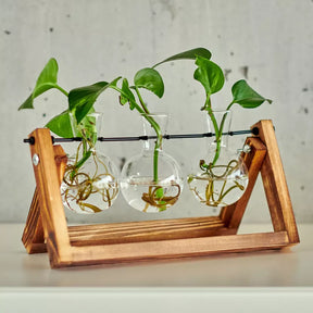 Anzuchtstation für 3 Pflanzen