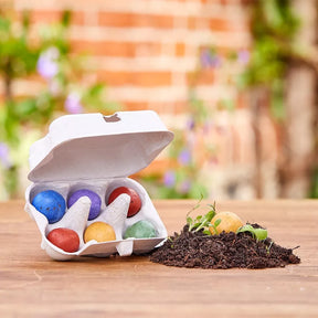 Blumenmurmeln im Mini-Eierkarton