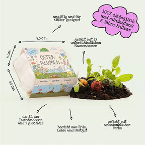 Blumenmurmeln im Mini-Eierkarton