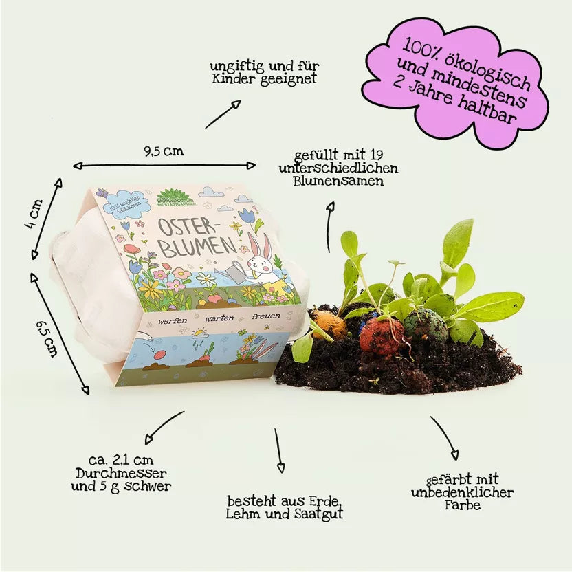 Blumenmurmeln im Mini-Eierkarton