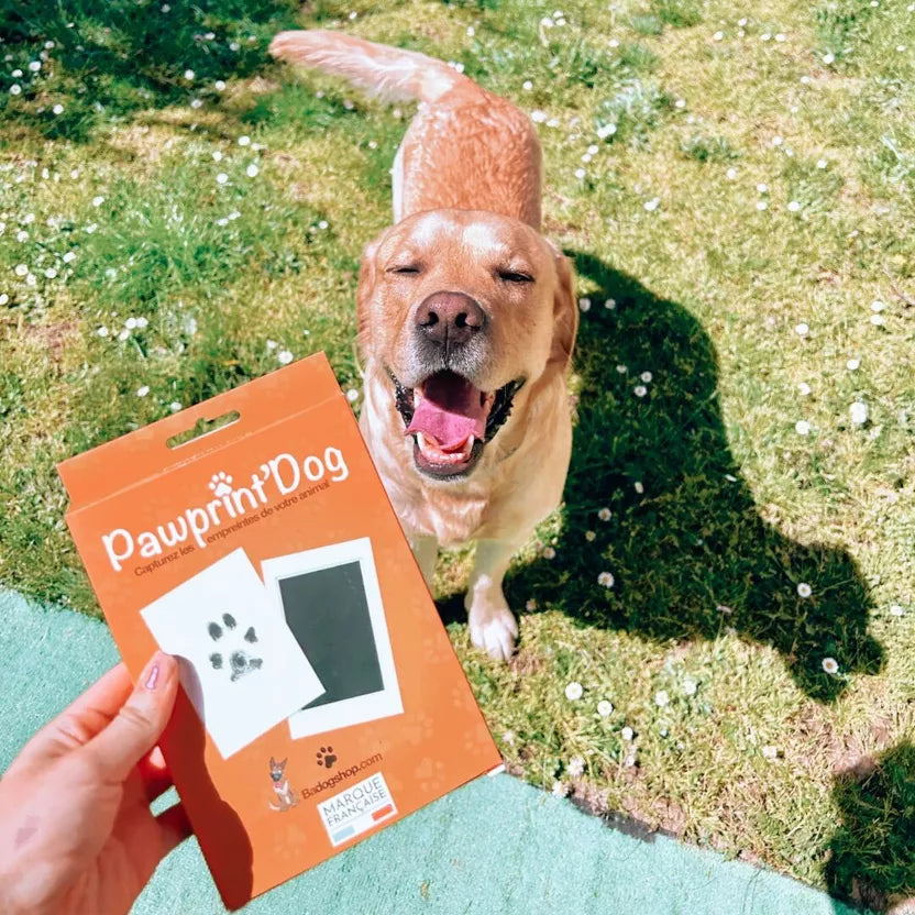 Fußabdruck-Set für Katzen und Hunde