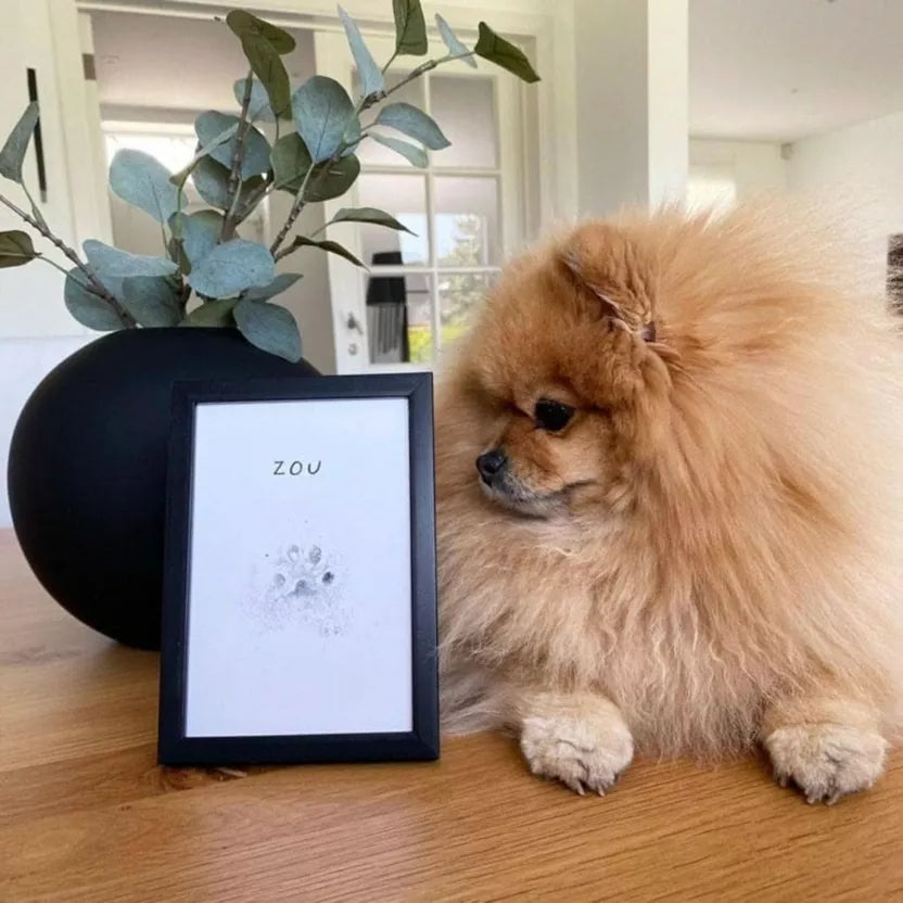 Fußabdruck-Set für Katzen und Hunde