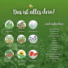 Saatgut-Adventskalender mit Türchen
