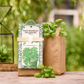 Minigarten - Basilkum