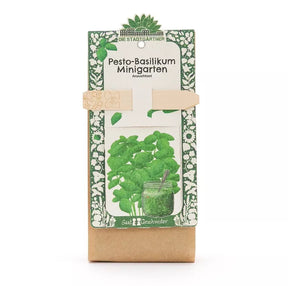 Minigarten - Basilkum