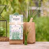 Schnittlauch Anzuchtset