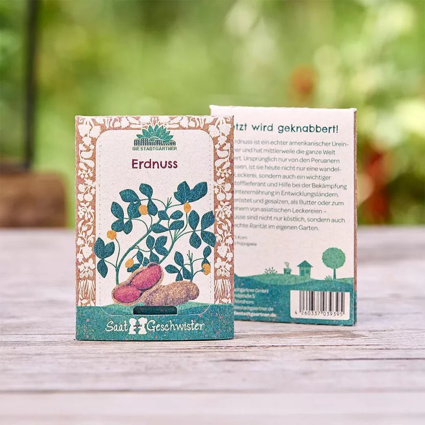 Erdnuss Saatgut