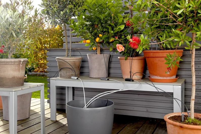 GARDENA Urlaubsbewässerung Set – Automatische Pflanzenbewässerung für bis zu 36 Topfpflanzen