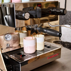 Potluck Colors of Spring – 8er Gewürz-Set | Exklusive Geschenkbox für Feinschmecker