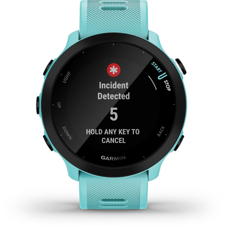 Garmin Forerunner 55 türkis