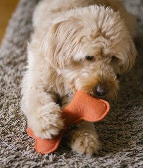 Tile knochenförmiges Hundespielzeug