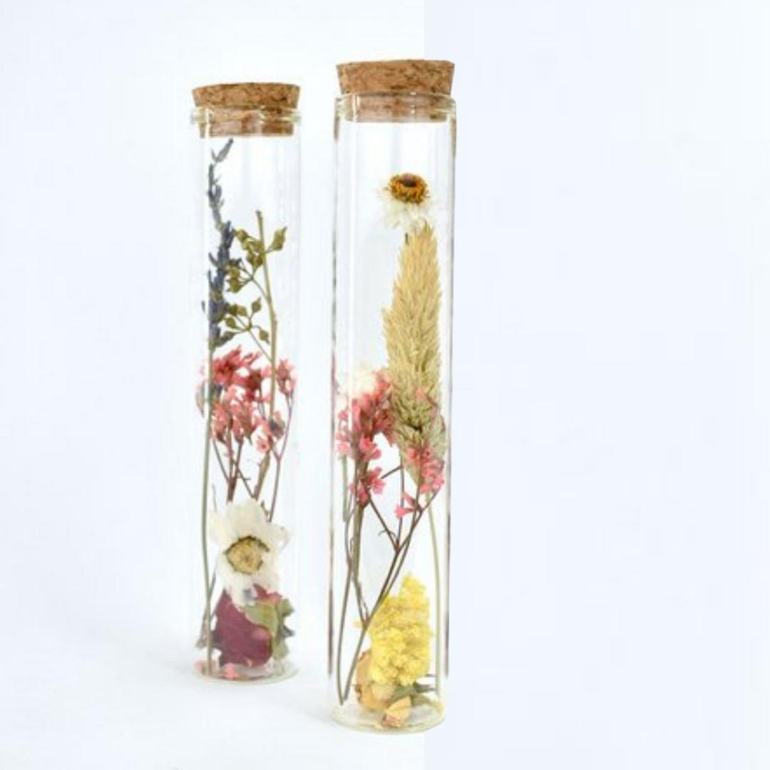 Trockenblumen-Set "Bunt" im Reagenzglas mit Korken 15 cm-Trockenblumen-Natuurlijk Bloemen-LAPONDO